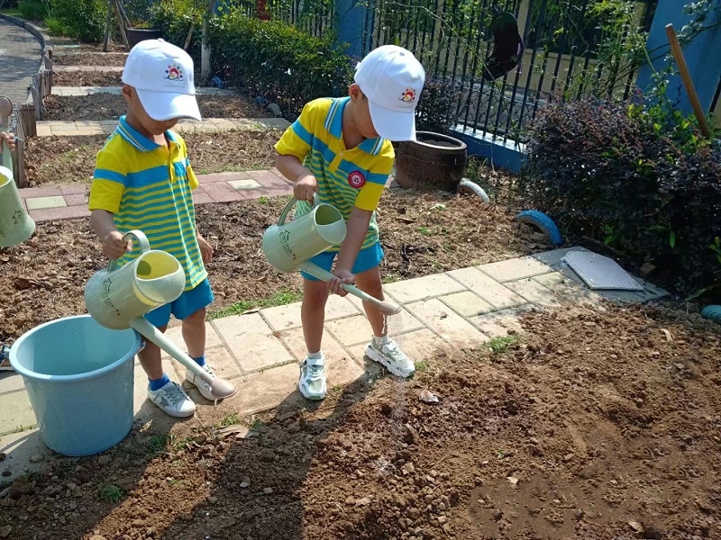 幼兒園小農(nóng)場設(shè)計