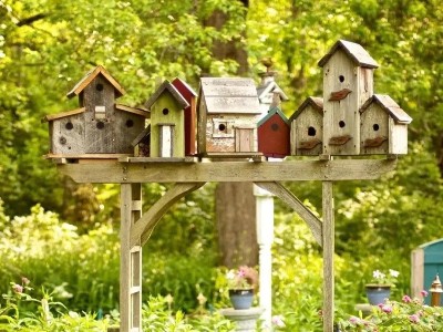 幼兒園自然角設計這樣做，讓人眼前一亮！